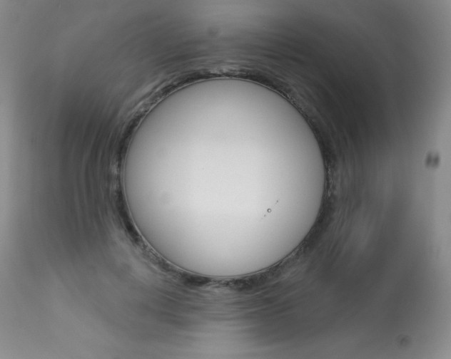 X0000113920648200909241330