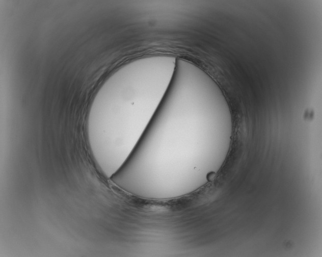 X0000113920649200909241330
