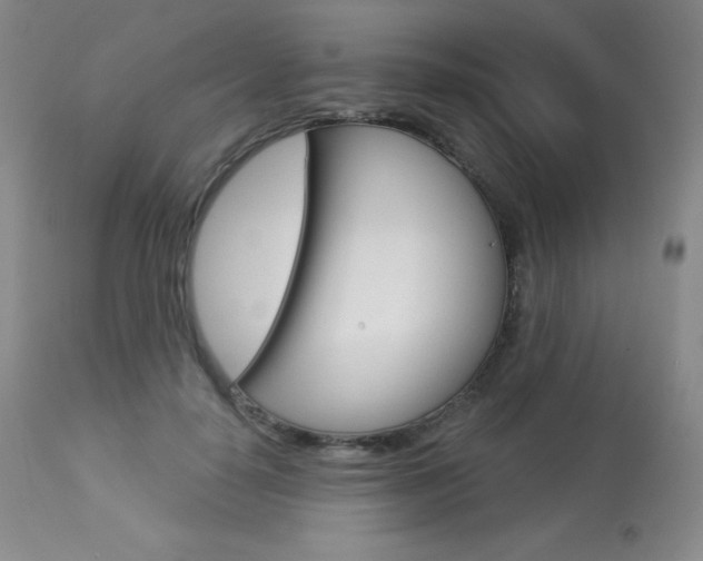 X0000113920650200909241330