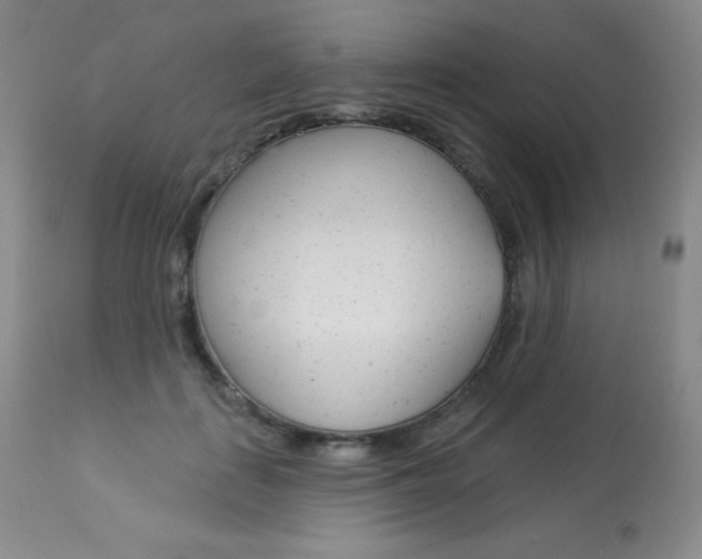 X0000113920651200909241330