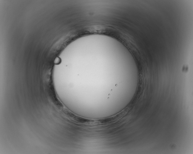 X0000113920652200909241330