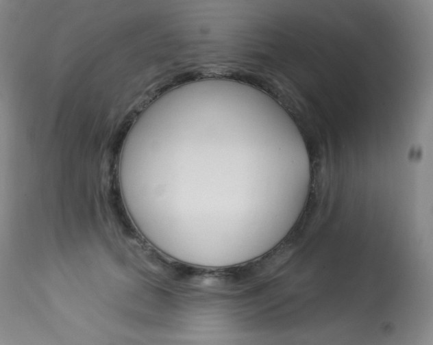 X0000113920655200909241330