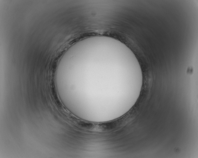 X0000113920656200909241330
