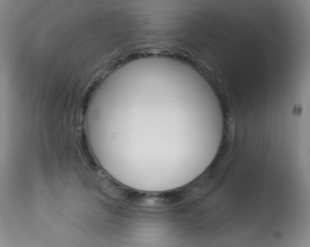 X0000113920657200909241330