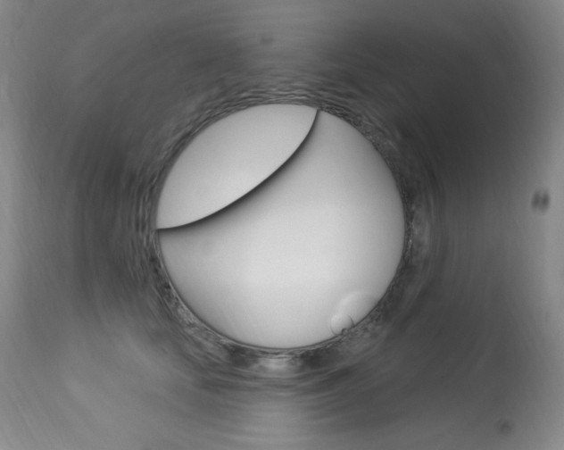 X0000113920659200909241331