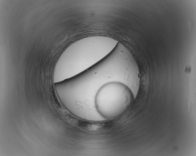 X0000113920662200909241331