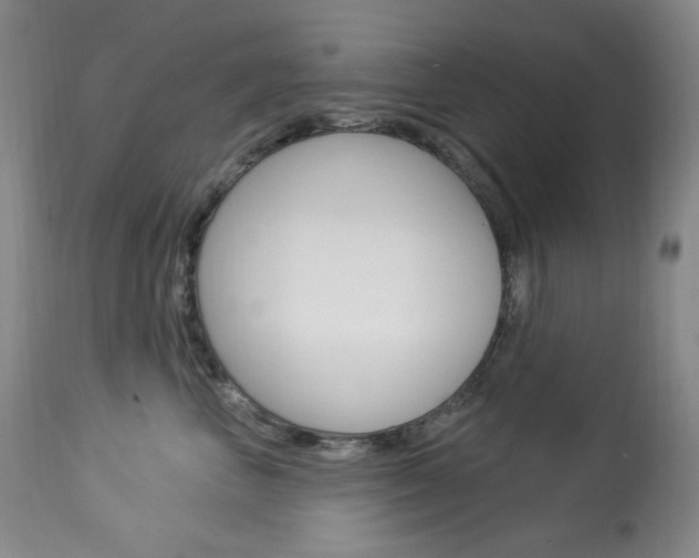 X0000113920667200909241331