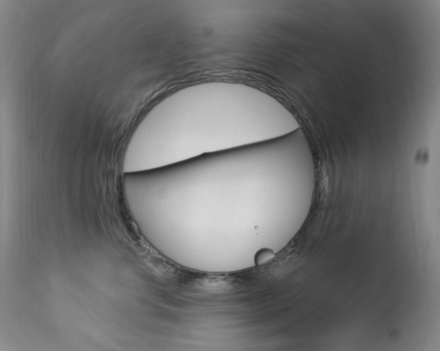 X0000113920668200909241331