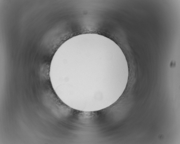 X0000113920672200909241331