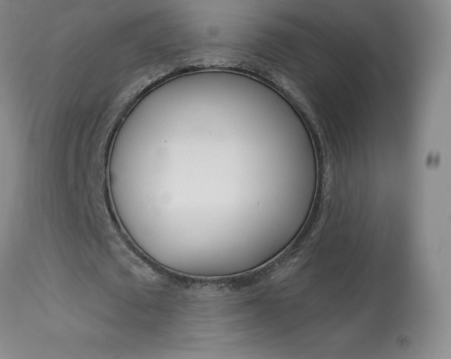 X0000113920673200909241330