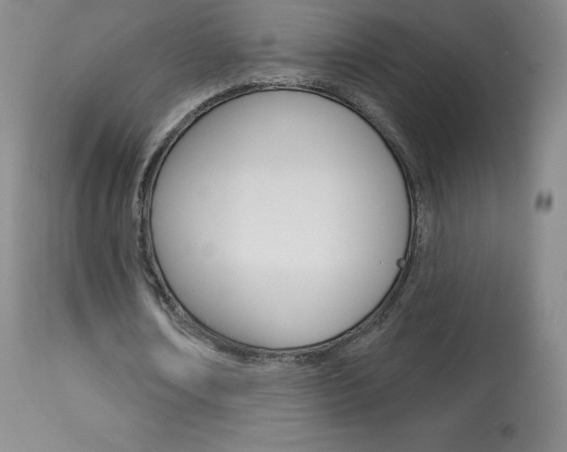 X0000113920674200909241330
