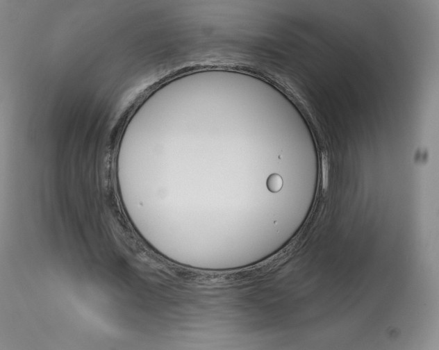 X0000113920675200909241330