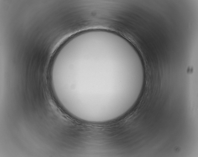 X0000113920676200909241330