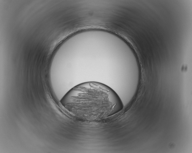X0000113920677200909241330