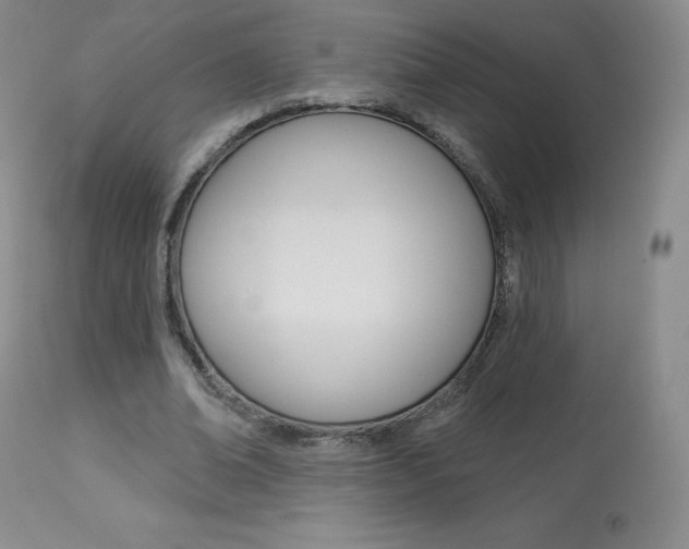 X0000113920678200909241330