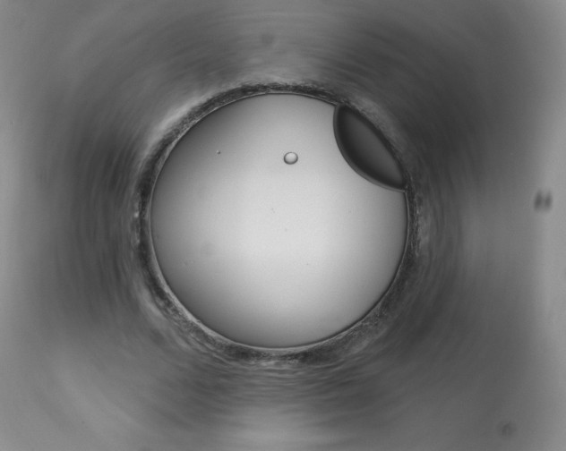 X0000113920680200909241330