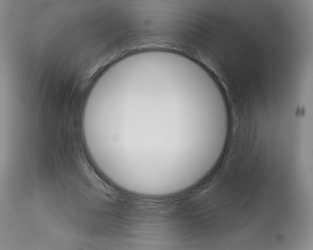 X0000113920681200909241330