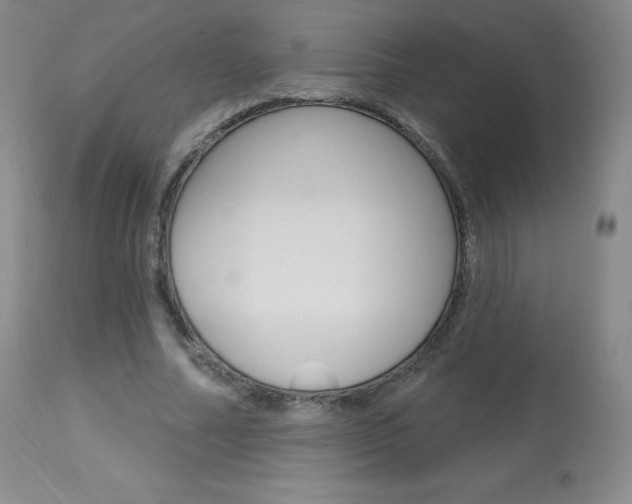 X0000113920682200909241330