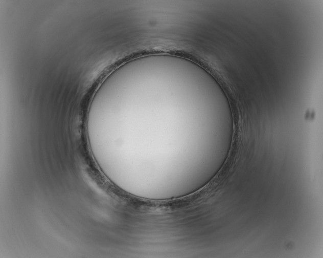 X0000113920683200909241330