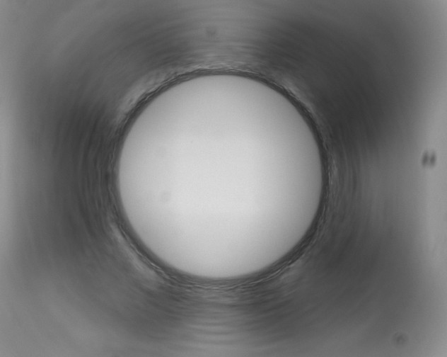 X0000113920685200909241330