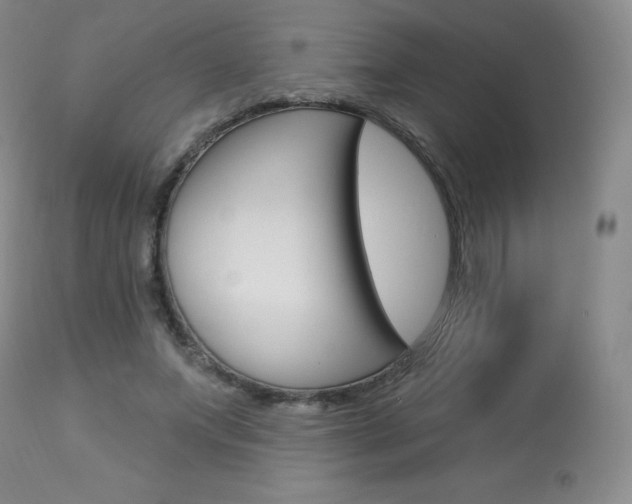 X0000113920687200909241330