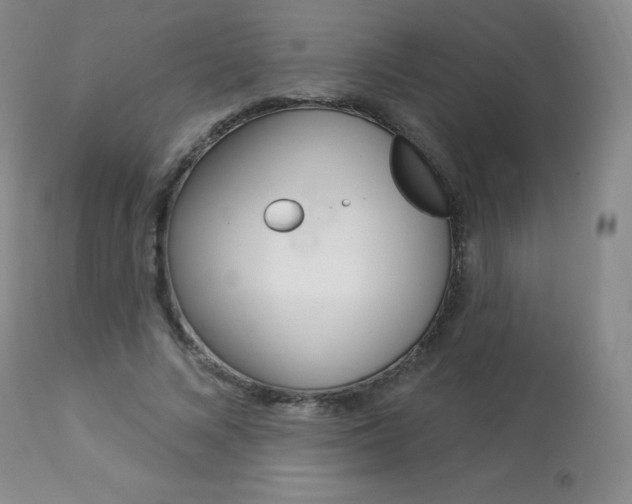 X0000113920688200909241330