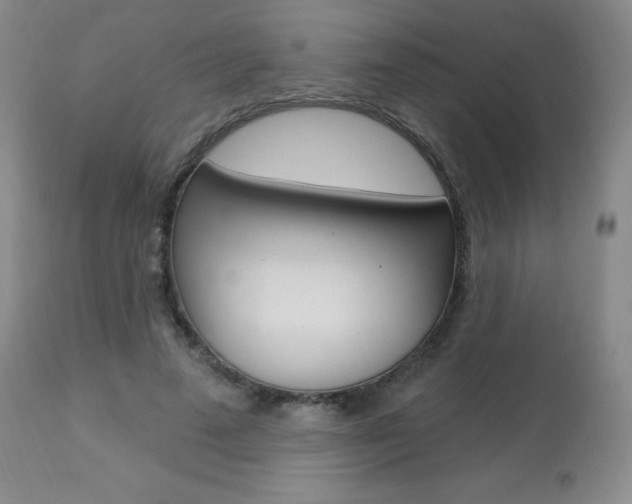 X0000113920689200909241330