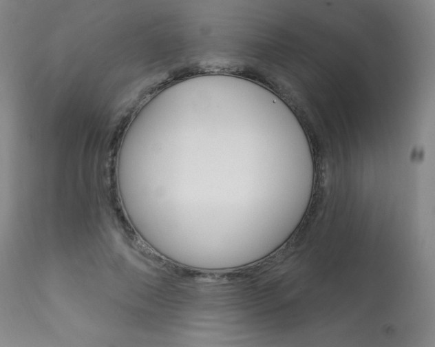 X0000113920690200909241330