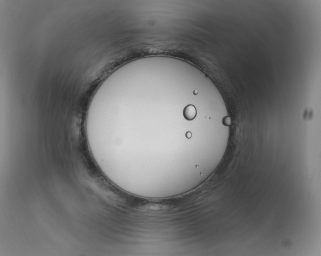 X0000113920691200909241330