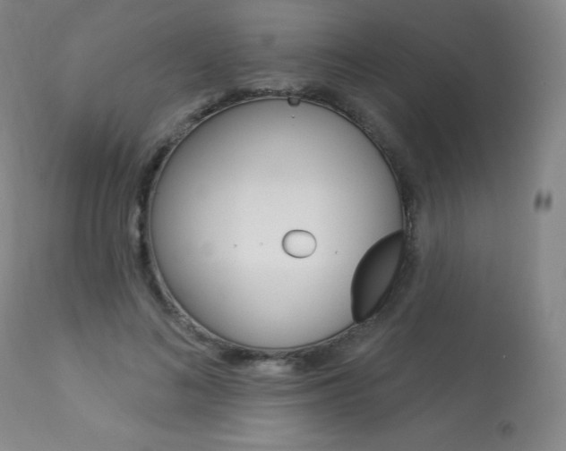X0000113920692200909241330