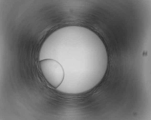X0000113920693200909241330