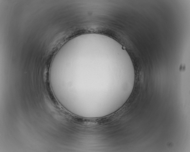 X0000113920694200909241330