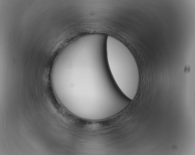 X0000113920695200909241330