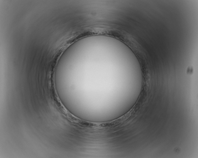 X0000113920696200909241330