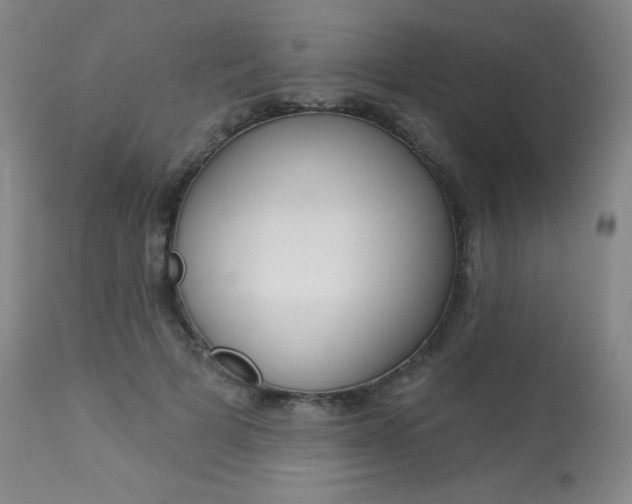 X0000113920697200909241330