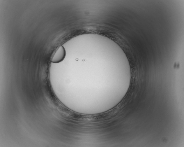 X0000113920702200909241329