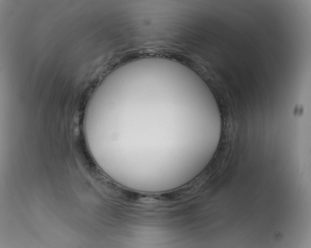 X0000113920703200909241329
