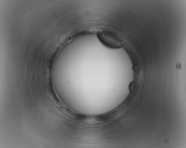 X0000113920704200909241329