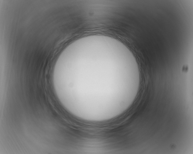 X0000113920705200909241329