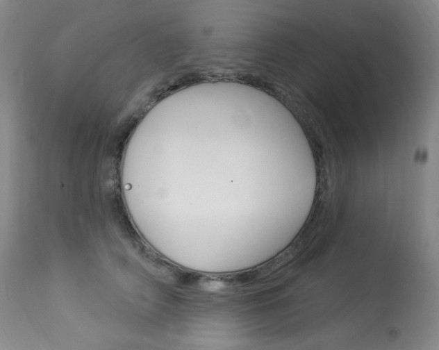 X0000113920706200909241329