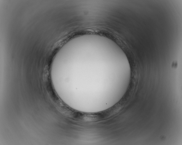 X0000113920707200909241329