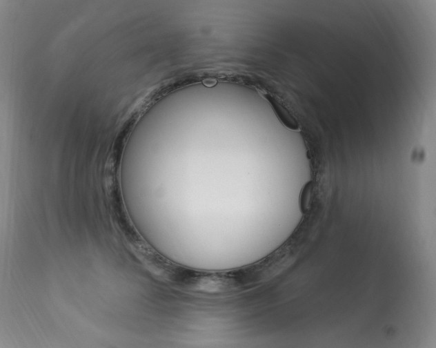 X0000113920708200909241329