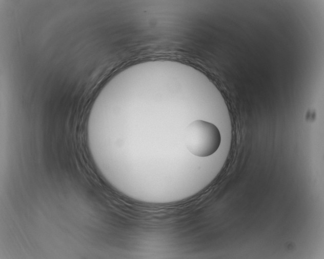 X0000113920709200909241329
