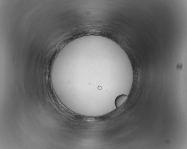 X0000113920710200909241329