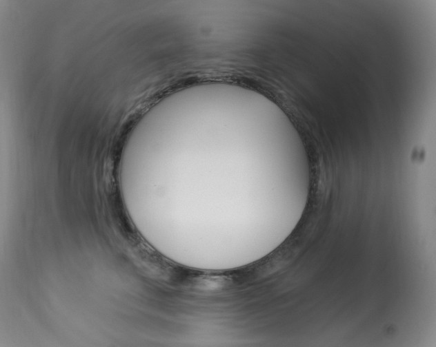 X0000113920711200909241329