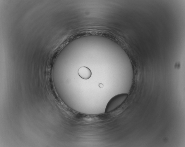 X0000113920712200909241329