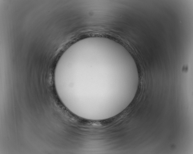 X0000113920715200909241329
