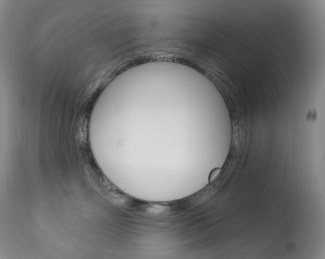 X0000113920718200909241329