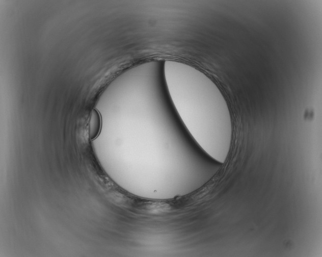 X0000113920719200909241329