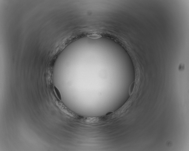 X0000113920720200909241329